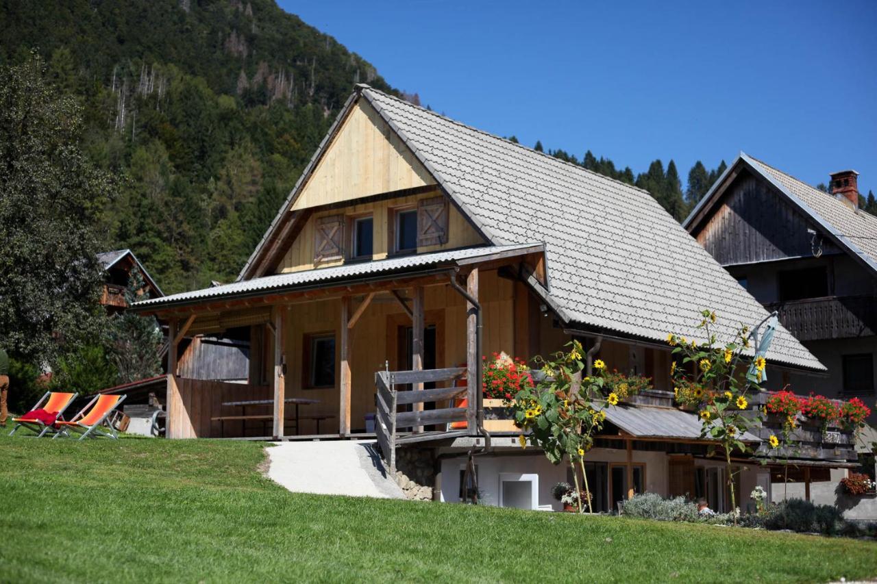 Apartmaji Pri Kozmavo - Little House Apartman