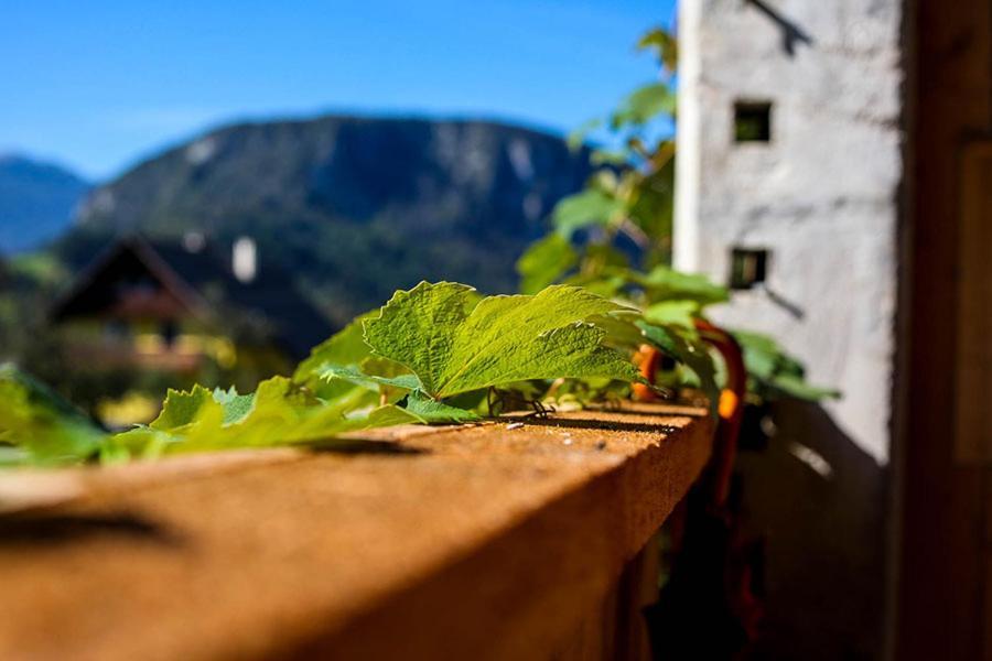 Apartmaji Pri Kozmavo - Little House Apartman